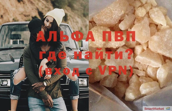 ПСИЛОЦИБИНОВЫЕ ГРИБЫ Белокуриха