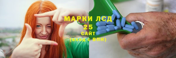 ПСИЛОЦИБИНОВЫЕ ГРИБЫ Белокуриха