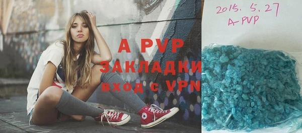 ПСИЛОЦИБИНОВЫЕ ГРИБЫ Белокуриха